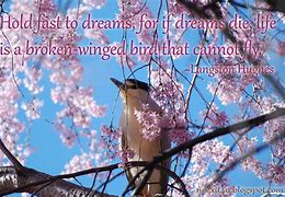 Image result for Dream Poems and Quotes