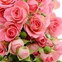 Image result for Wildflower Cases Pink Roses