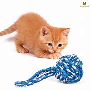 Image result for Cat Chew Toys