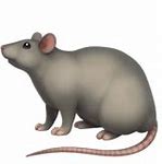 Image result for Rat Emoji iPhone