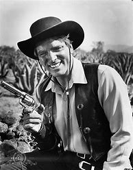Image result for Burt Lancaster Westerns