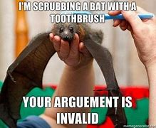 Image result for Happy Bat Meme