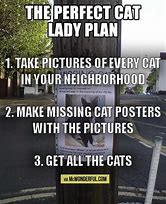 Image result for Crazy Cat Lady Meme