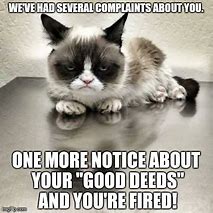 Image result for Grumpy Cat Office Memes