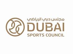 Image result for Dubai Sports World Logo