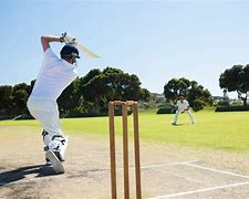 Image result for Dinosaur Playing Cricket
