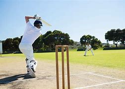 Image result for Playing Cricket