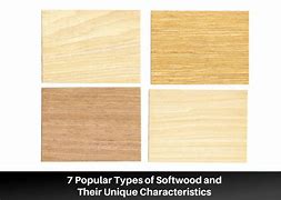 Image result for Types of Softwood
