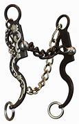 Image result for Curb Chain Bit