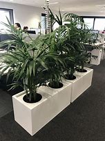 Image result for Large Indoor House Plant Pots