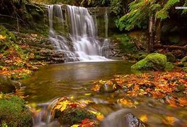 Image result for Images of Early Fall