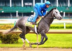 Image result for Belmont Stakes Horses