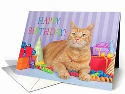 Image result for Orange Cat Birthday