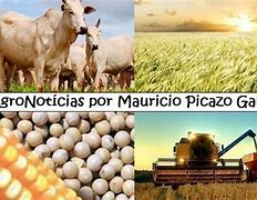 Image result for agroalinentario