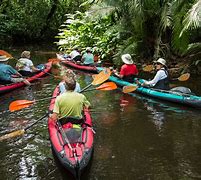Image result for Amazon Rainforest Adventure