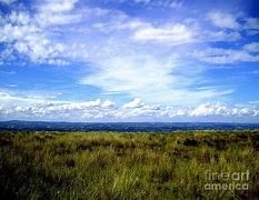 Image result for Irish Sky Texture