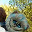 Image result for Cheshire Cat Photography