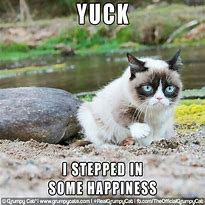 Image result for Grumpy Cat Stubborn