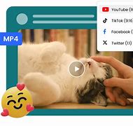 Image result for Android Video Meme