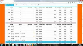 Image result for Time and Attendance Pay Statement From ADP