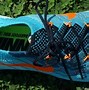 Image result for Nike Free 3.0 Shoe