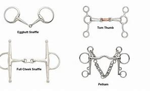 Image result for Silver Horse Bits