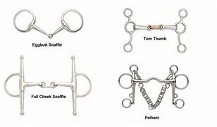 Image result for Horse Bits Types
