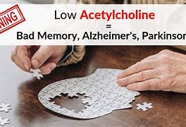 Image result for Acetylcholine and Memory