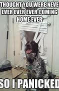 Image result for Dog Door Meme