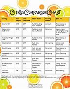 Image result for Lemon Tree Comparison Chart