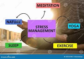 Image result for In the Moment Stress Management Techniques