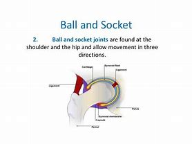 Image result for Mechanical Ball and Socket Joint Examples