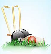 Image result for Cricket Abstract No B. Background
