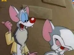 Image result for Pinky and the Brain Narf