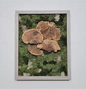 Image result for Painting Moss with a Sponge