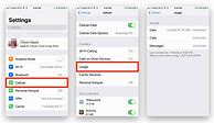 Image result for iPhone 11 Data Usage Setting