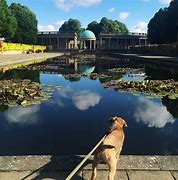 Image result for Eaton Park Norwich