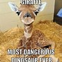Image result for Funny Giraffe Jokes
