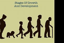Image result for Growth and Development Images