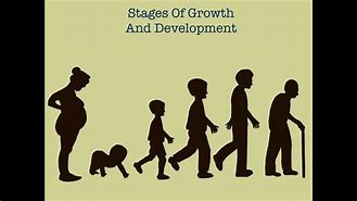 Image result for Growth in Humans
