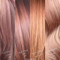 Image result for Rose Gold Hair Color Chart