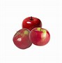 Image result for Apple Fruit History