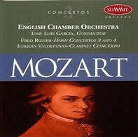 Image result for Chamber Orchestra Music