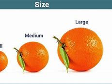 Image result for Different Size Objects