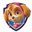 Image result for PAW Patrol Dvd. Amazon
