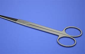 Image result for Blunt-Nosed Scissors