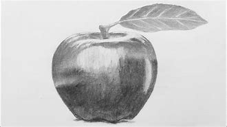 Image result for Apple Drawing Shading