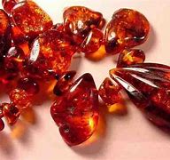 Image result for Amber Vs. Red