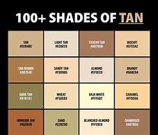 Image result for Tan Color