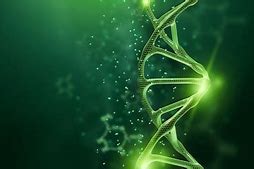 Image result for Droid DNA Wallpaper